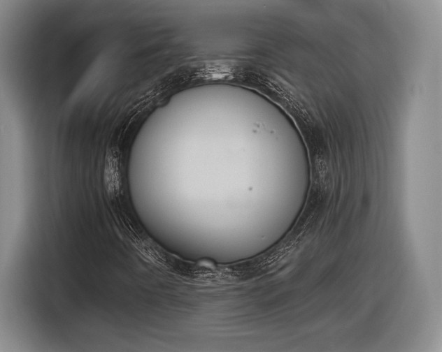 X0000116511442200912161329