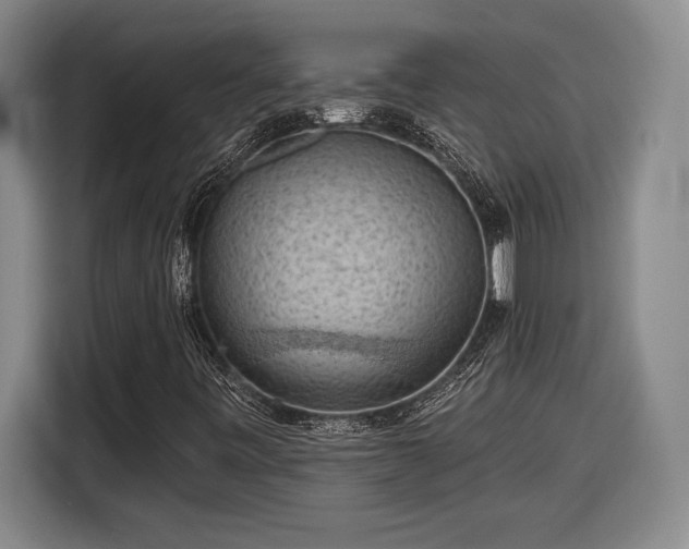 X0000116511443200912161329