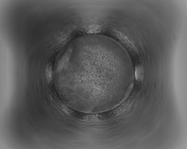 X0000116511444200912161329