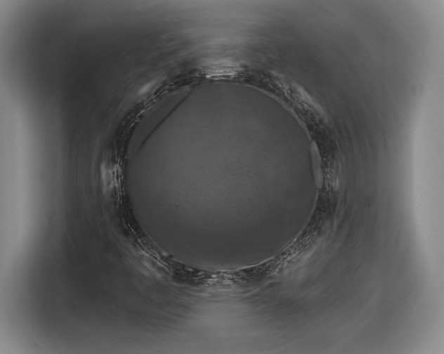 X0000116511445200912161329
