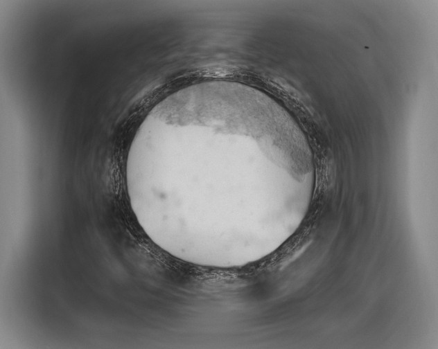 X0000116511446200912161329