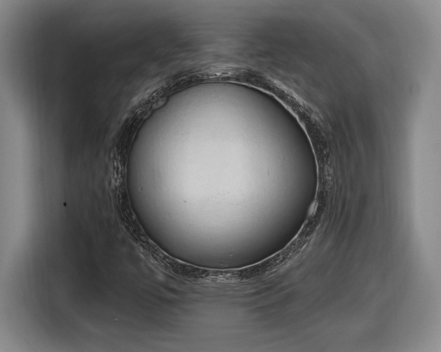 X0000116511447200912161329