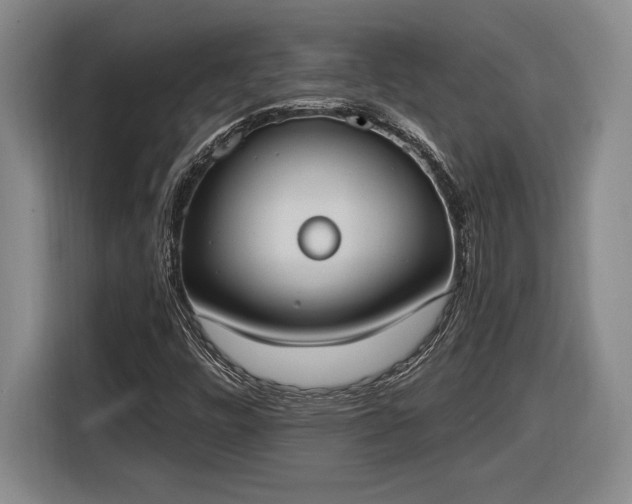 X0000116511448200912161329