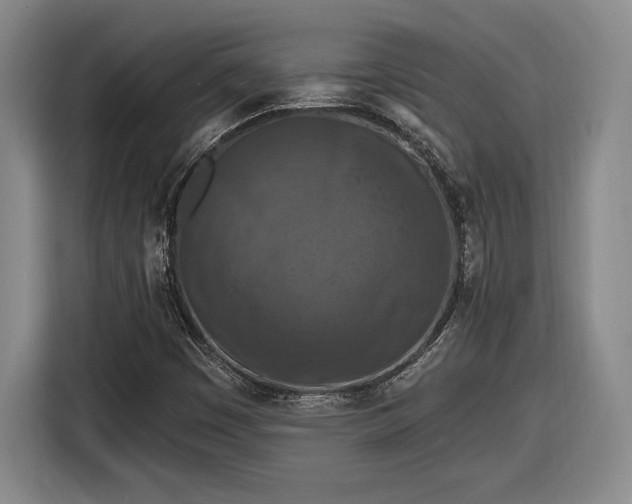 X0000116511449200912161329