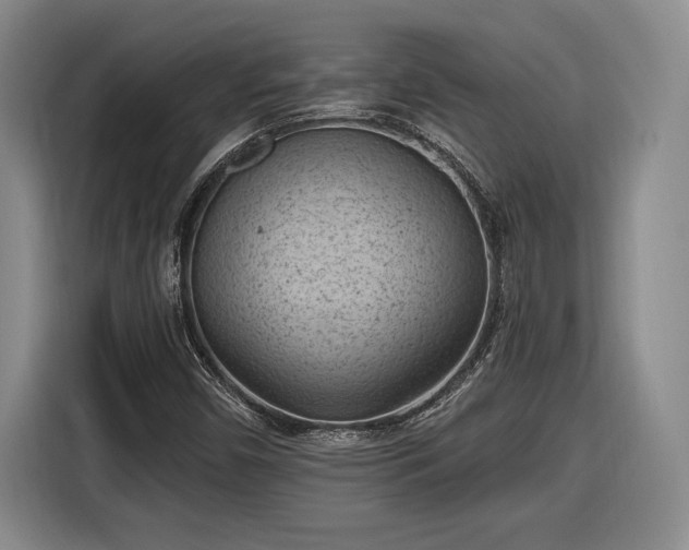 X0000116511450200912161329