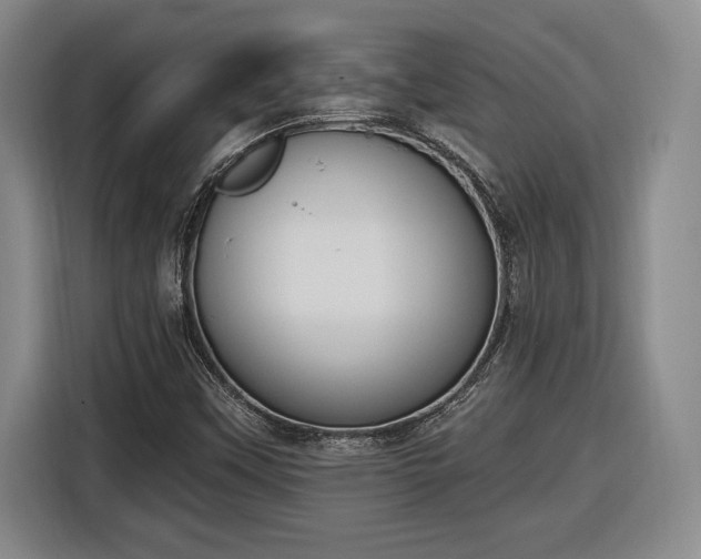 X0000116511451200912161329