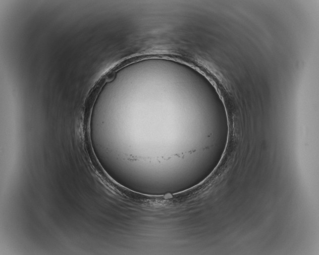 X0000116511452200912161329