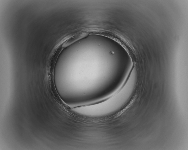 X0000116511453200912161329