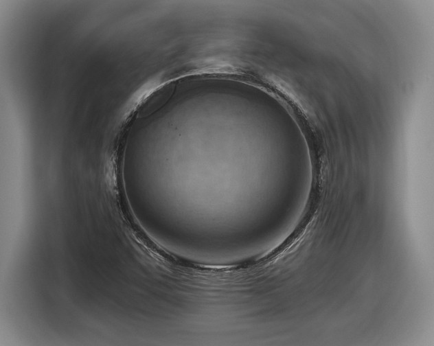 X0000116511455200912161329