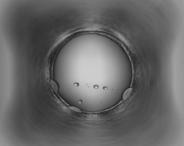 X0000116511456200912161329