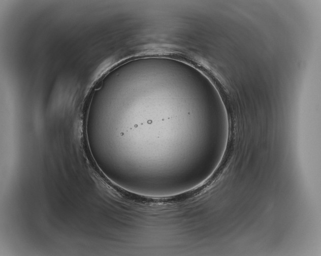 X0000116511459200912161329
