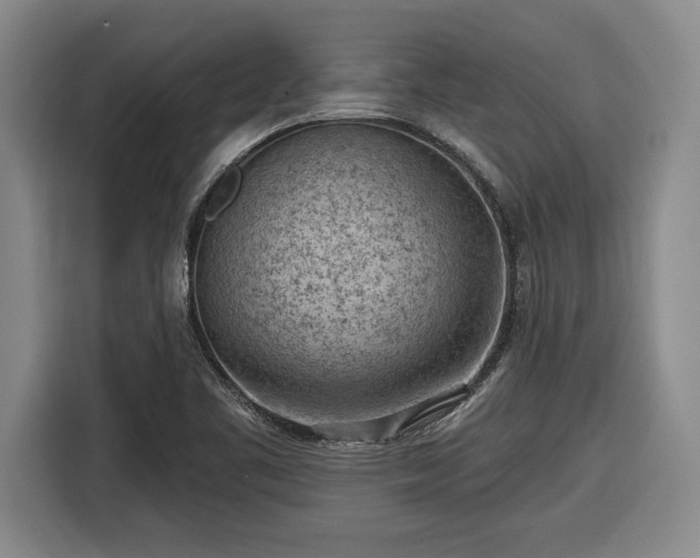 X0000116511461200912161329