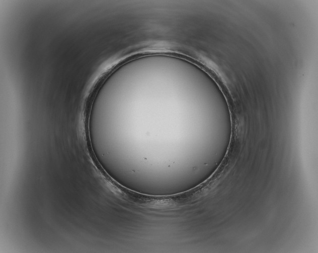 X0000116511464200912161329