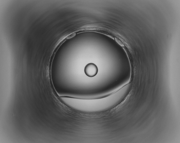X0000116511465200912161329
