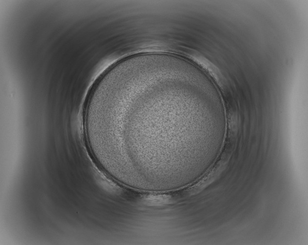 X0000116511466200912161329
