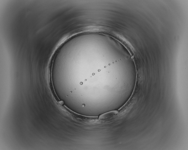 X0000116511467200912161329