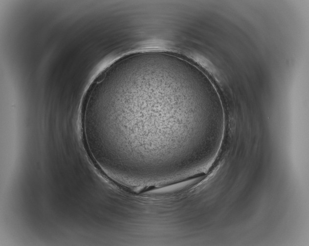 X0000116511469200912161329