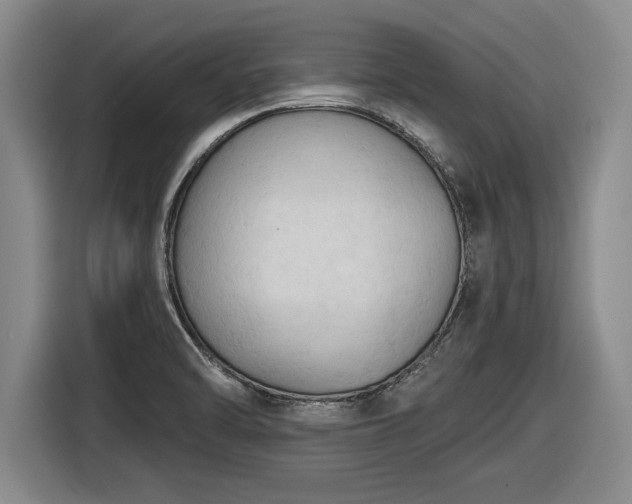 X0000116511470200912161329