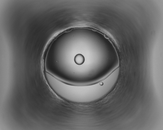 X0000116511472200912161329