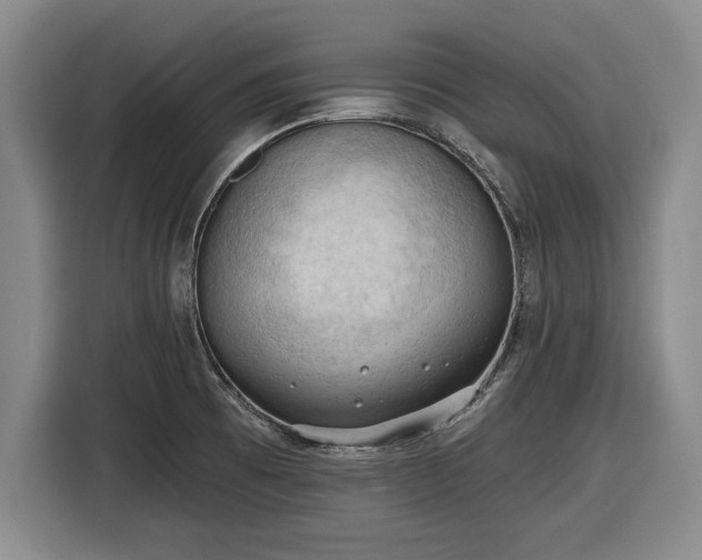 X0000116511473200912161329
