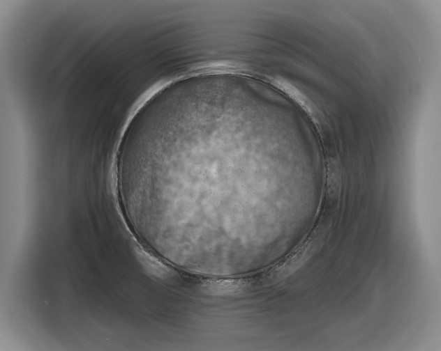 X0000116511474200912161329