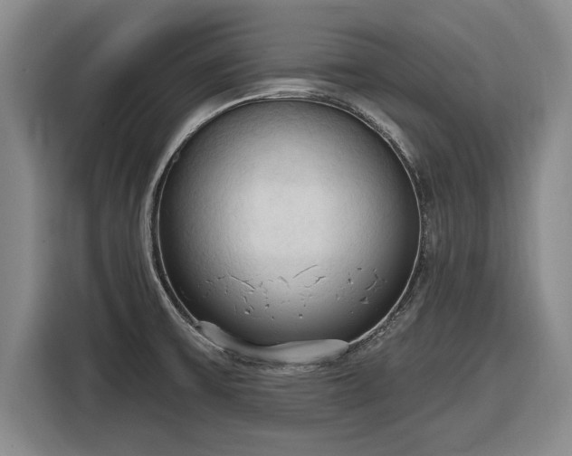 X0000116511475200912161329