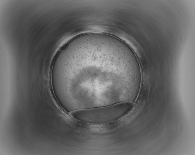 X0000116511477200912161329