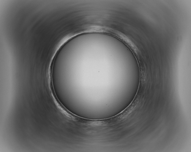 X0000116511479200912161329