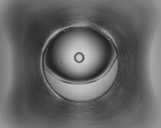 X0000116511480200912161329