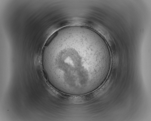 X0000116511481200912161329