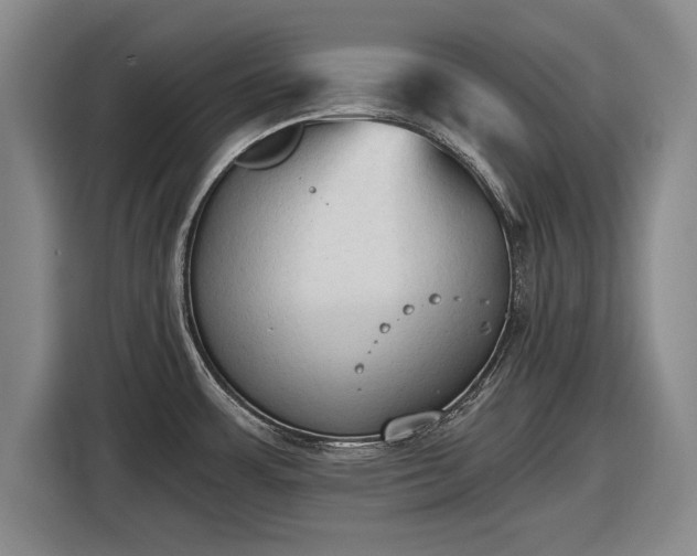 X0000116511483200912161329