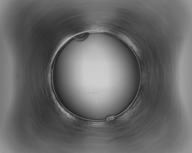 X0000116511484200912161329