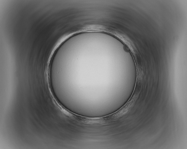 X0000116511486200912161329