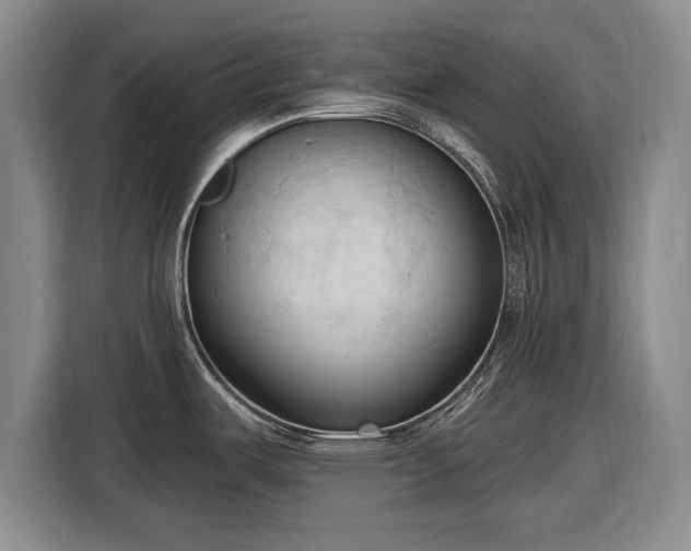 X0000116511487200912161329