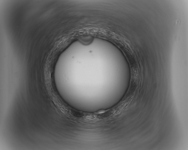 X0000116511489200912161328