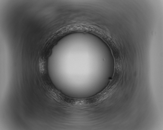 X0000116511490200912161328