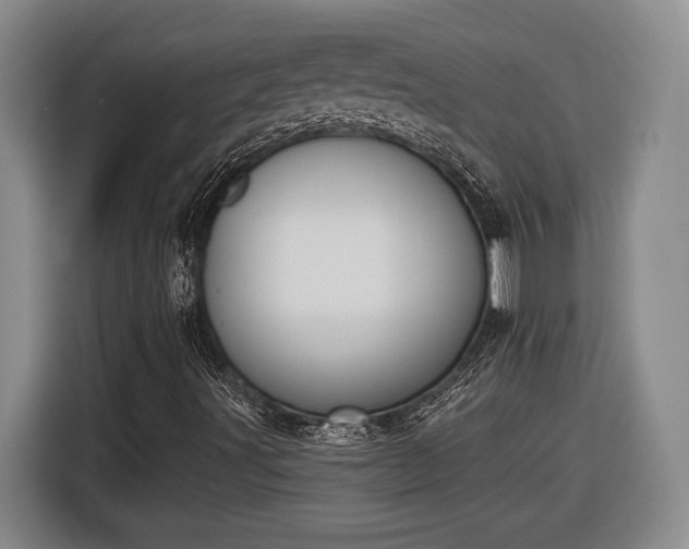 X0000116511491200912161328