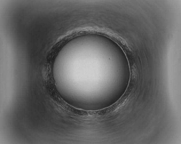 X0000116511494200912161328