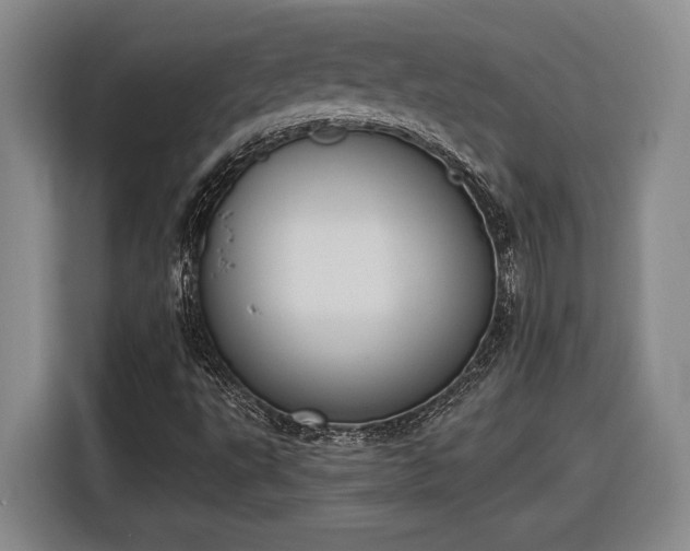 X0000116511495200912161328