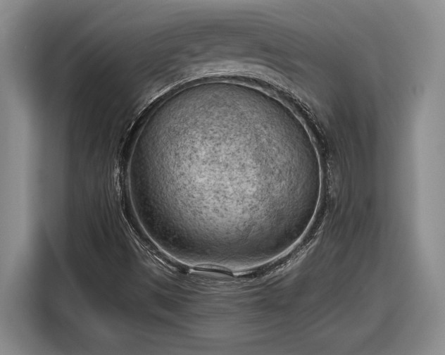 X0000116511497200912161328