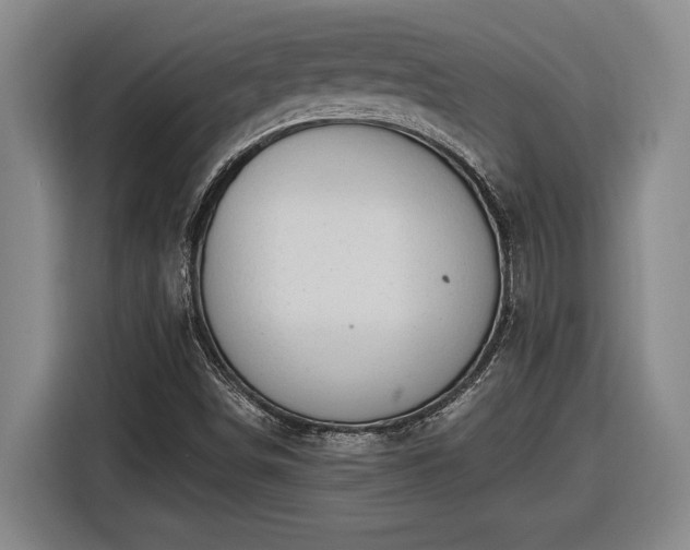 X0000116511498200912161328
