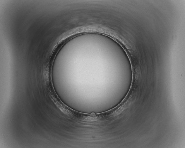 X0000116511499200912161328