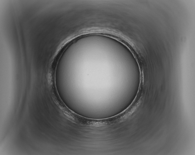 X0000116511501200912161328