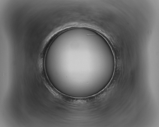 X0000116511503200912161328