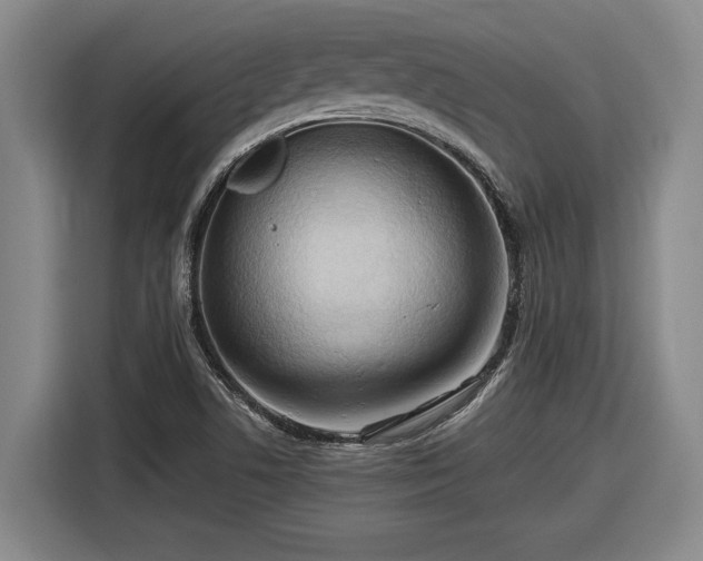 X0000116511506200912161328