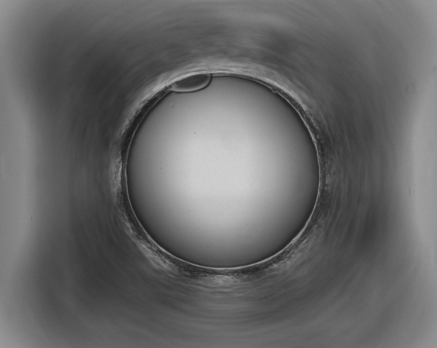 X0000116511507200912161328