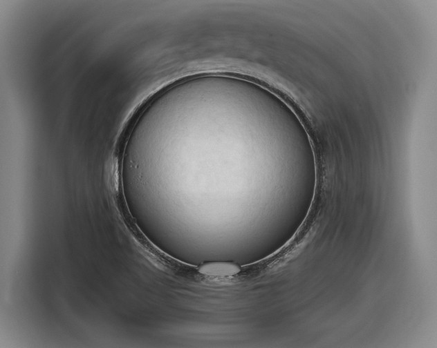 X0000116511509200912161328