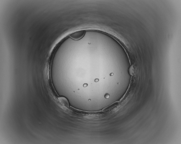X0000116511510200912161328