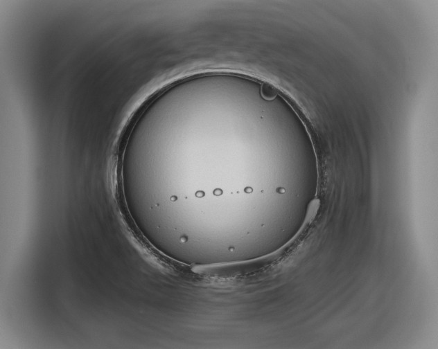 X0000116511511200912161328