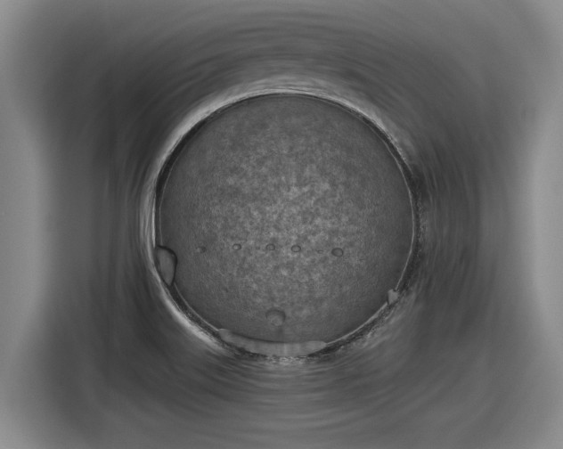 X0000116511515200912161328